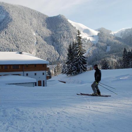Blsv Sportcamp Direkt Am Kurvenlift Hostel Schliersee Εξωτερικό φωτογραφία