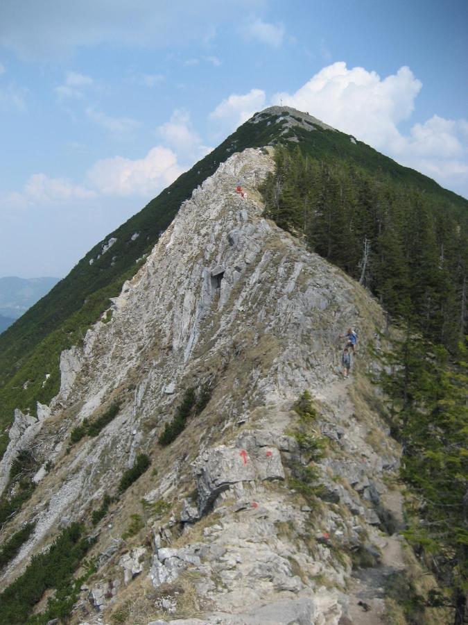 Blsv Sportcamp Direkt Am Kurvenlift Hostel Schliersee Εξωτερικό φωτογραφία