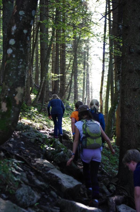 Blsv Sportcamp Direkt Am Kurvenlift Hostel Schliersee Εξωτερικό φωτογραφία